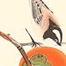 Suiko Fukuda Gallery
